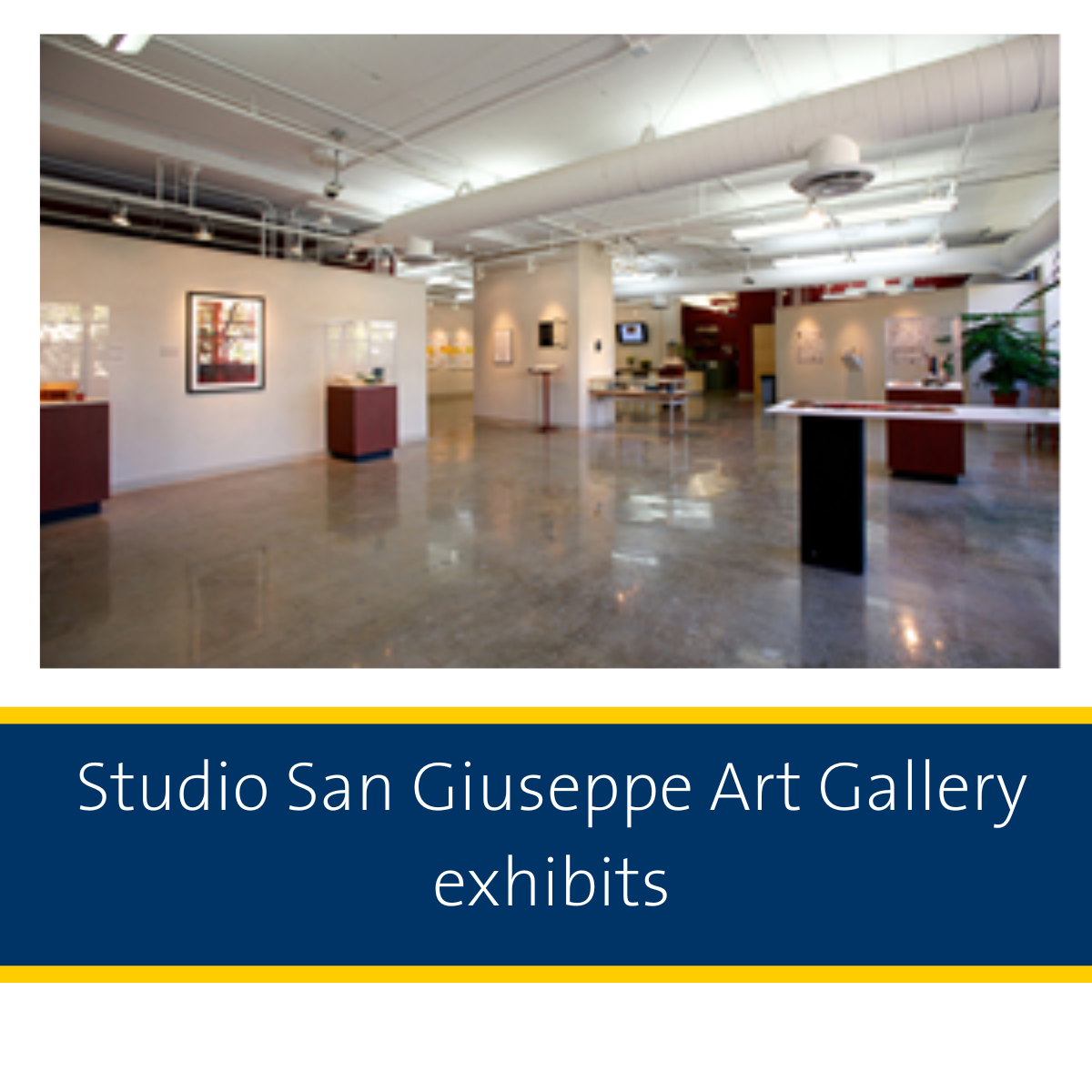 Art Gallery Exhibits